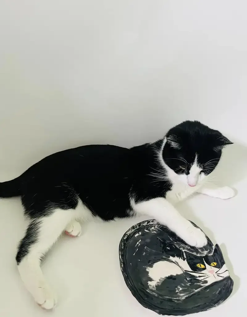 Vasaros teminiai keramikos užsiėmimai vaikams ir paaugliams 2 lekste-katinas